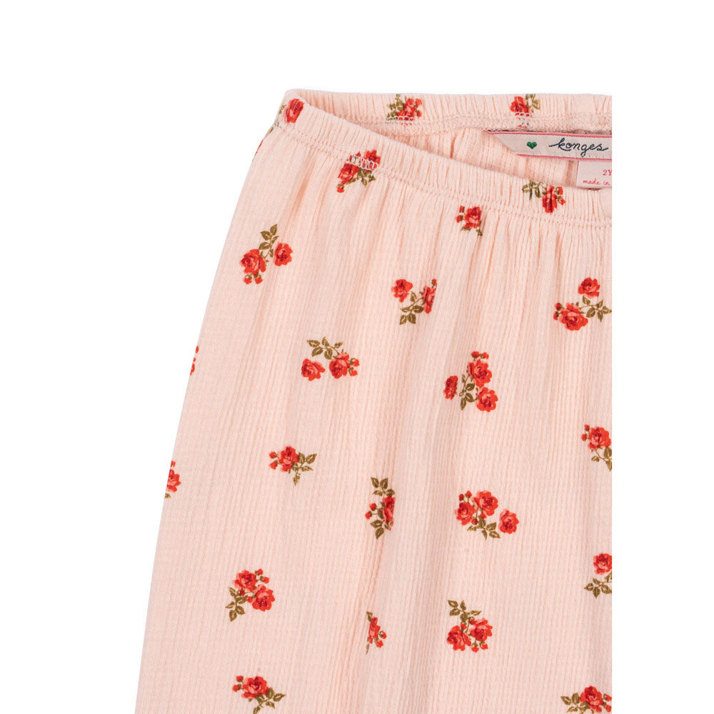 CHLEO hose