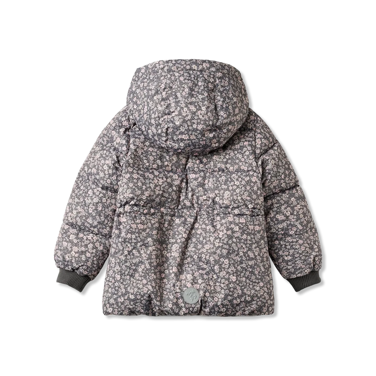 Eli Winterjacke