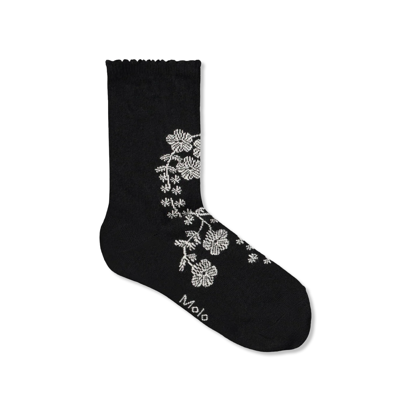 Nomi Socken