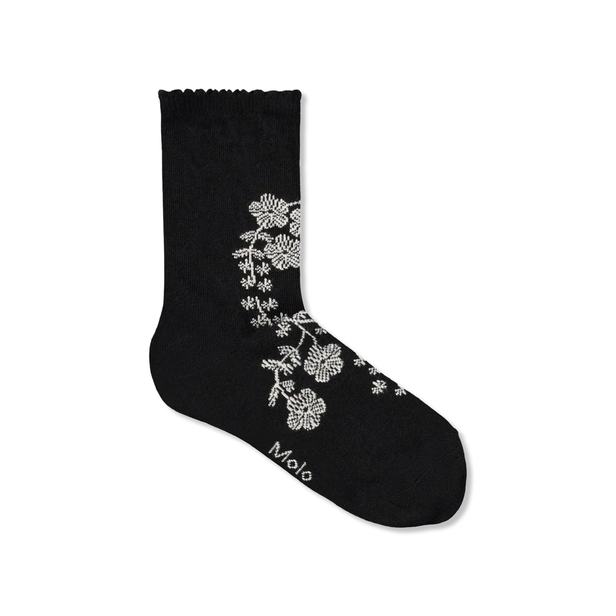 Nomi Socken