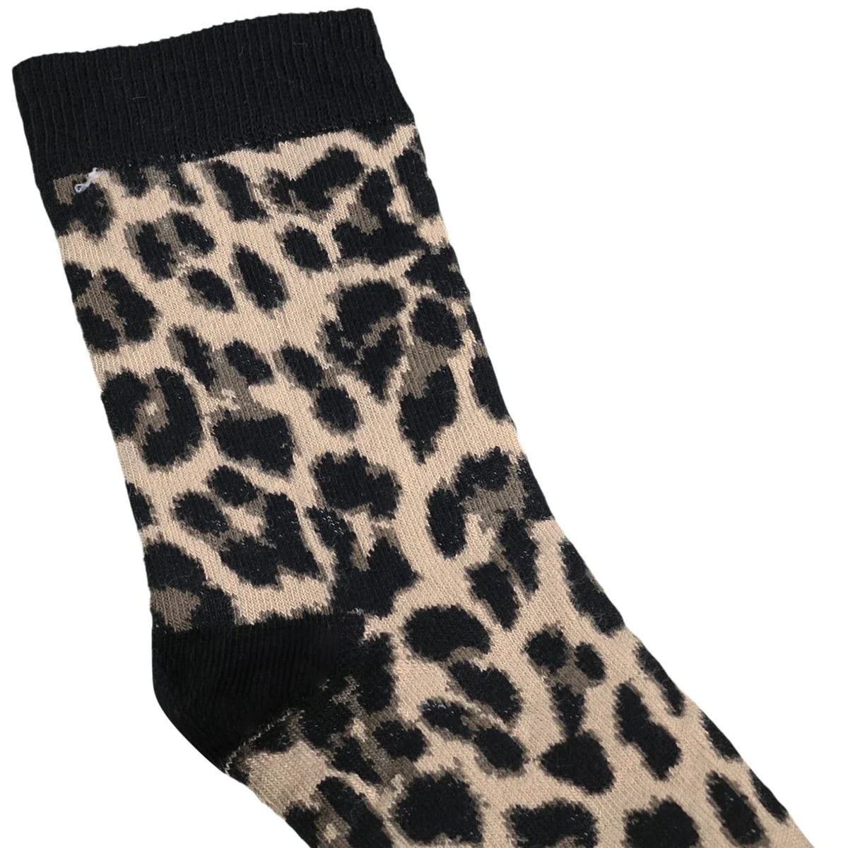 Nomi Socken