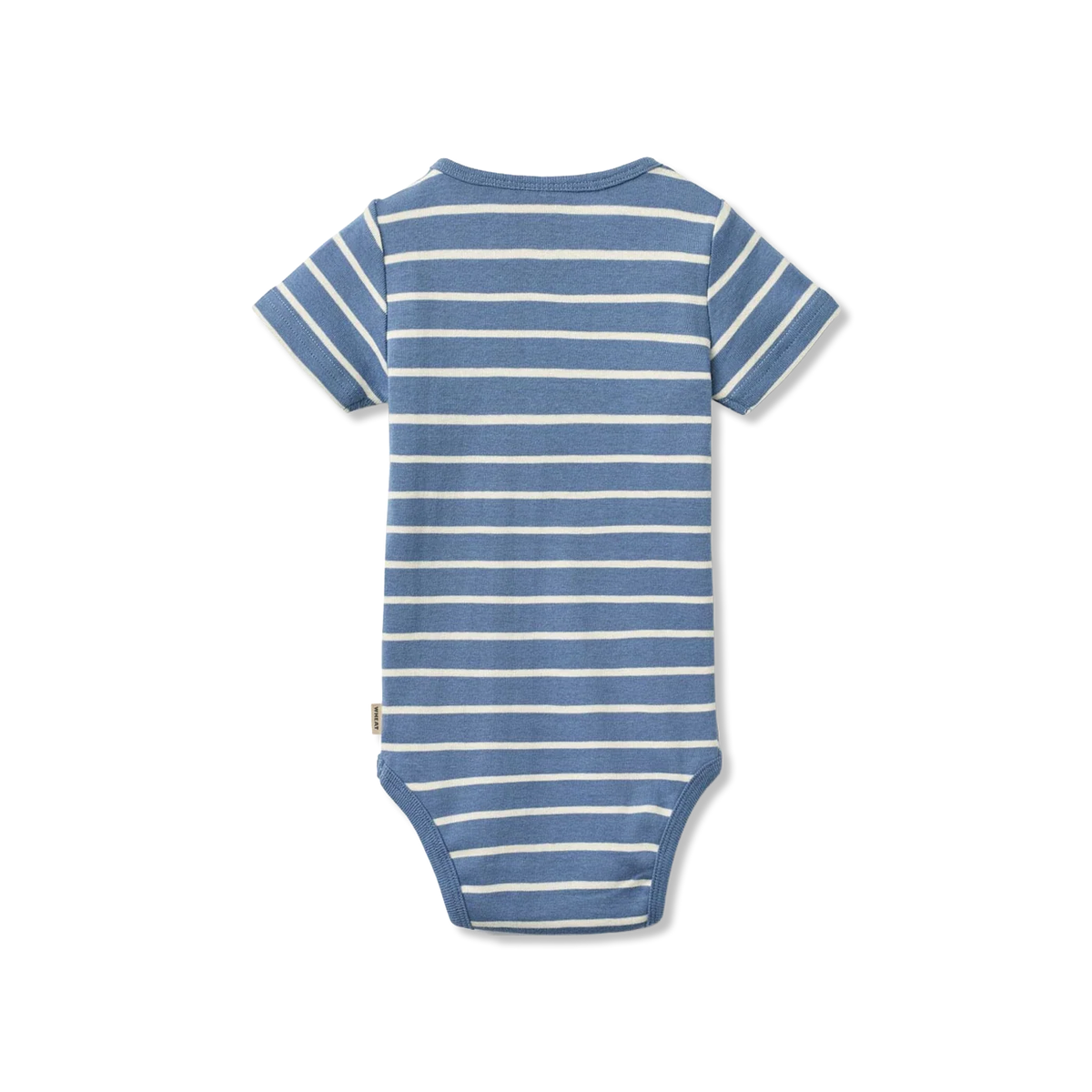 Edvald Body