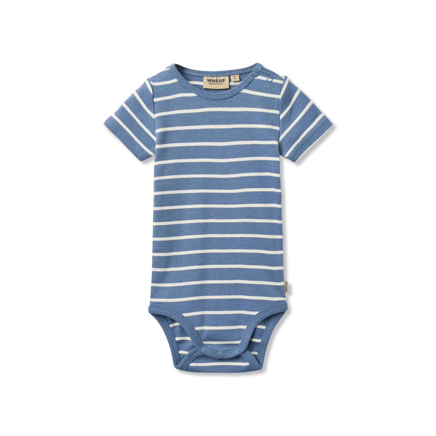 Edvald Body