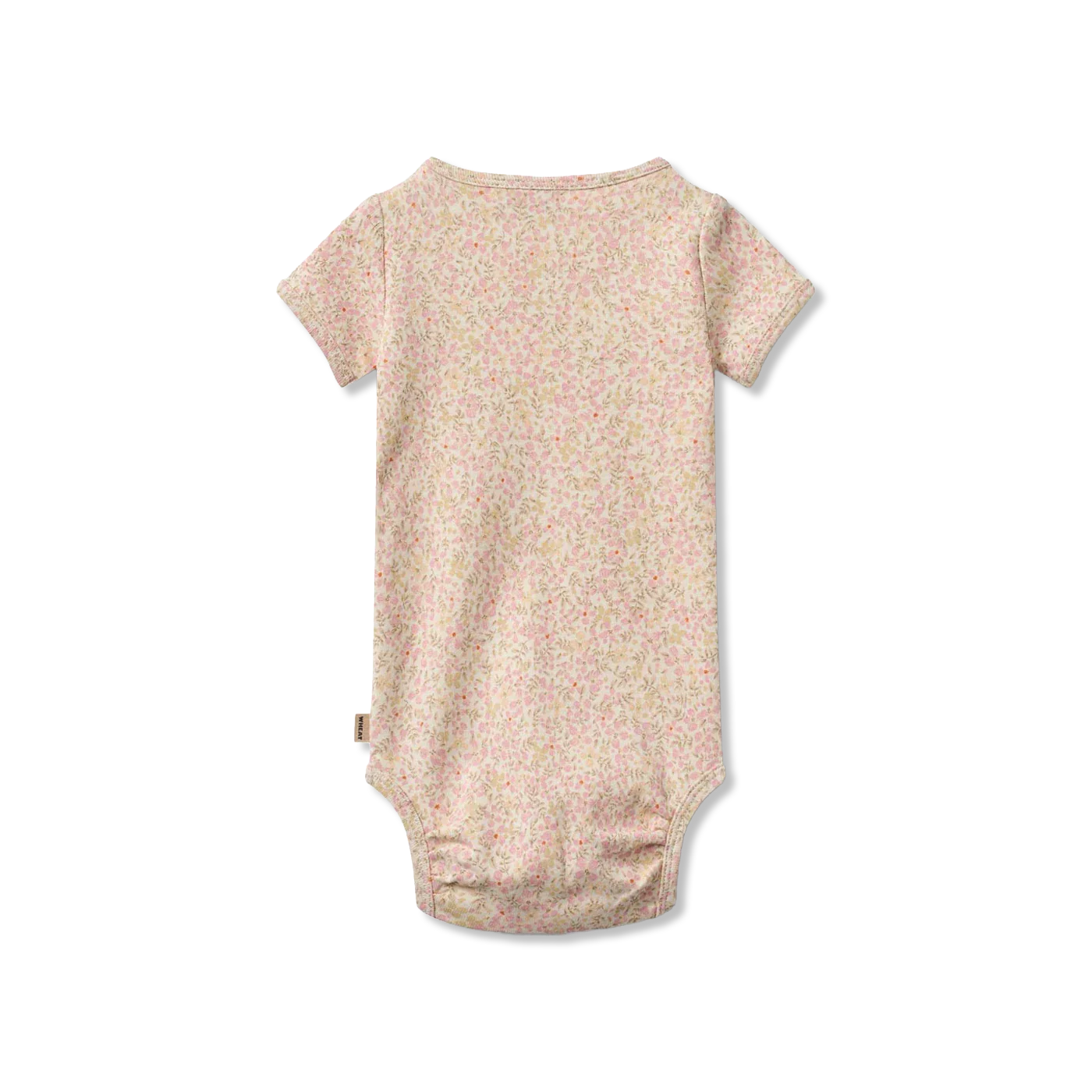 Linette Body
