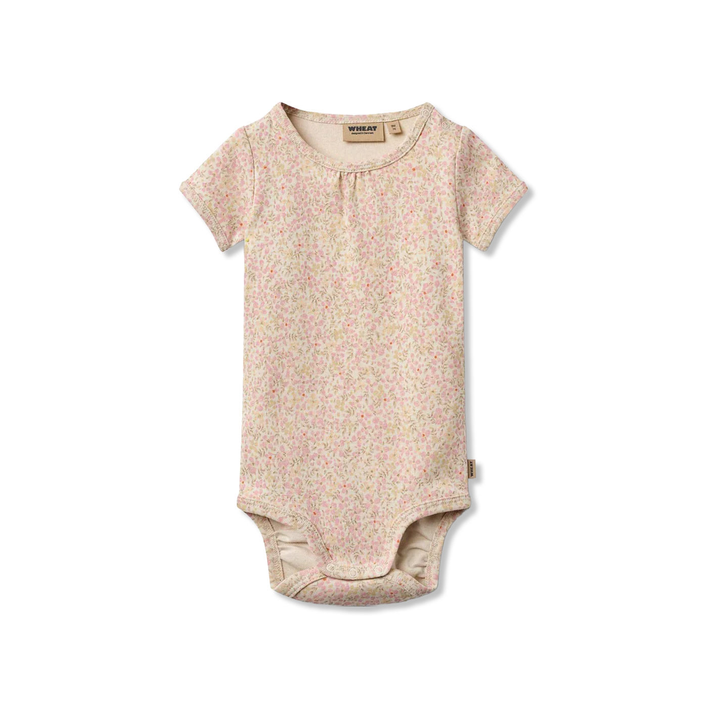 Linette Body