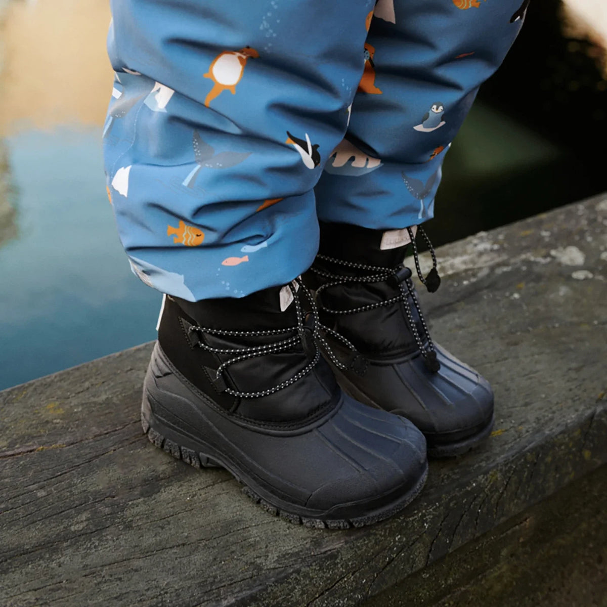 Ania Winterstiefel