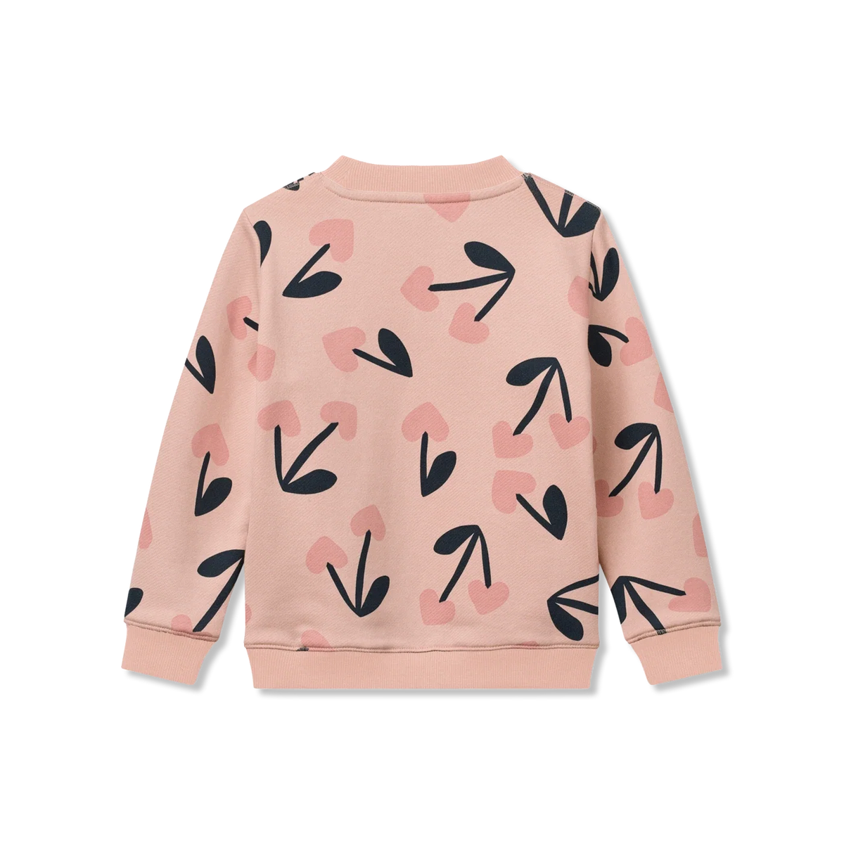 Ridley Sweatshirt