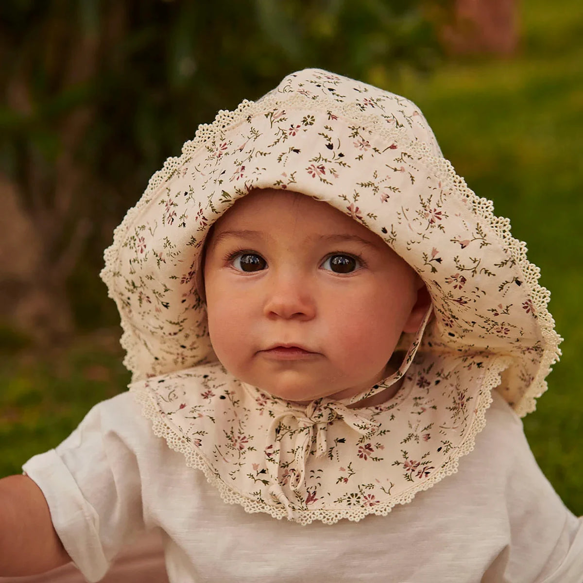 Lottie Sonnenhut