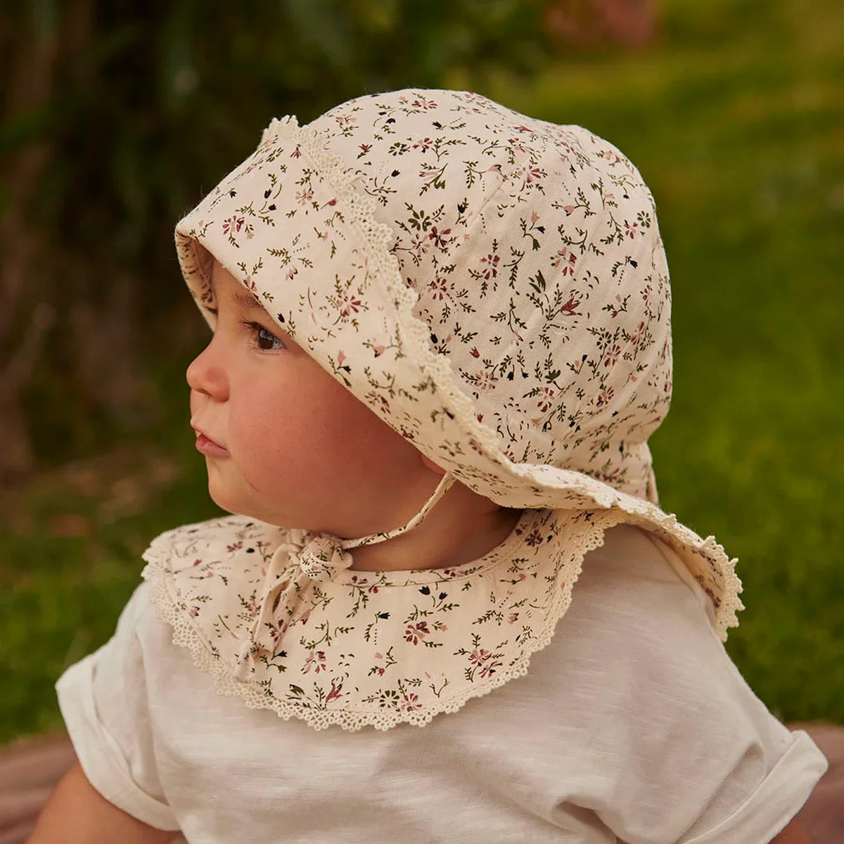 Lottie Sonnenhut