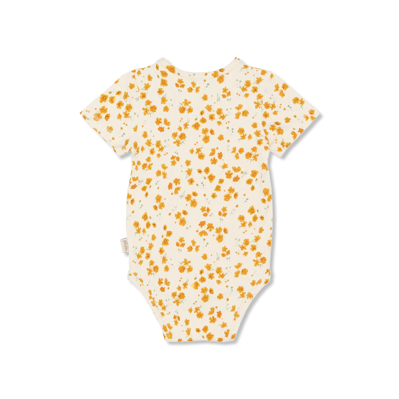 Sun Body