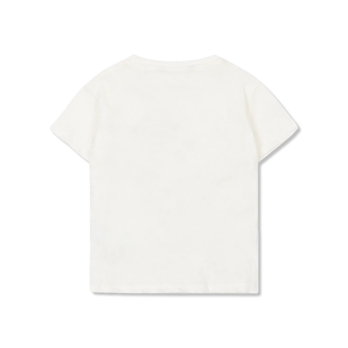 ERA t-Shirt