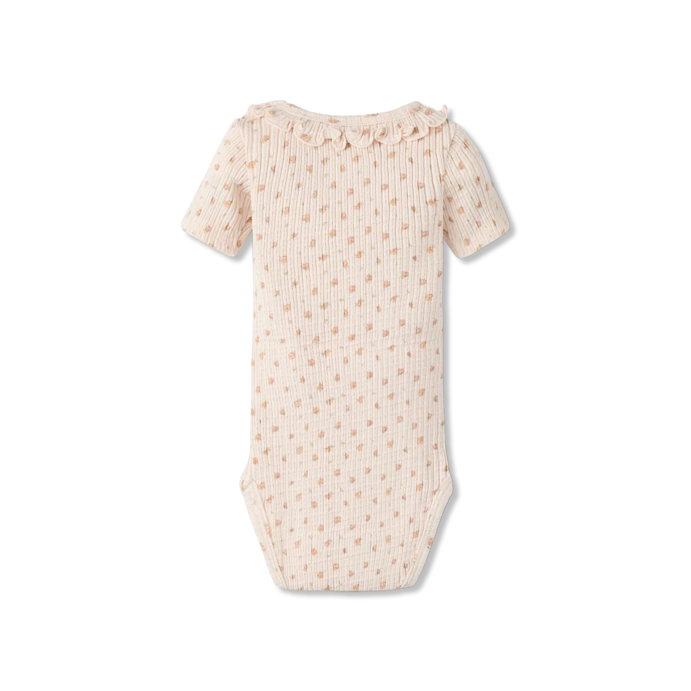 Nbfhulla Body