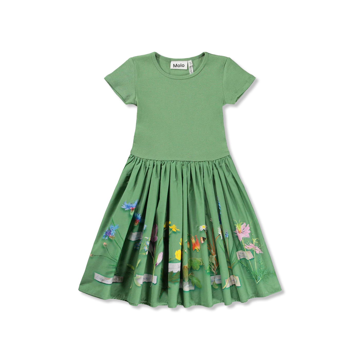 Cissa kleid