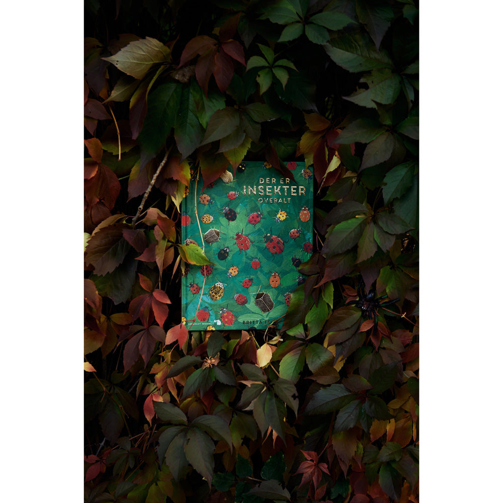 Buch
