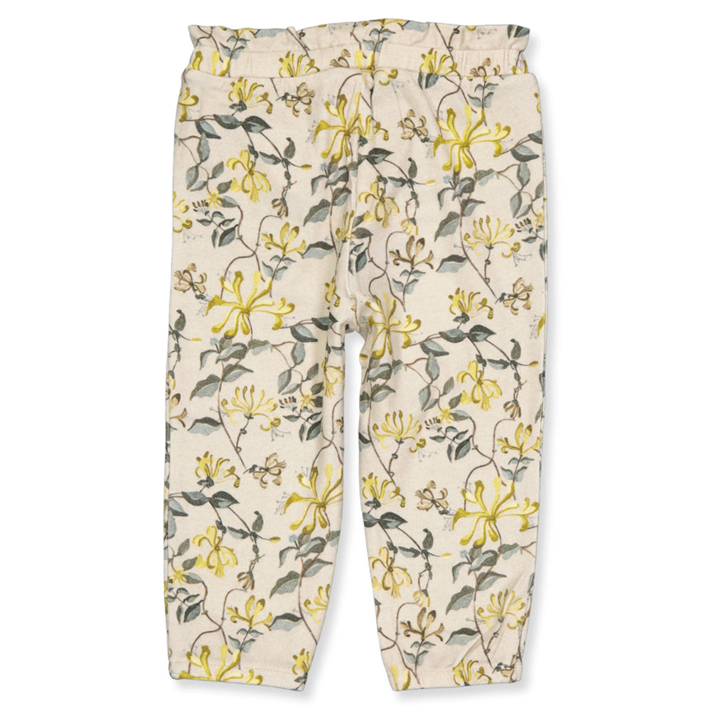 NBFHELENE hose