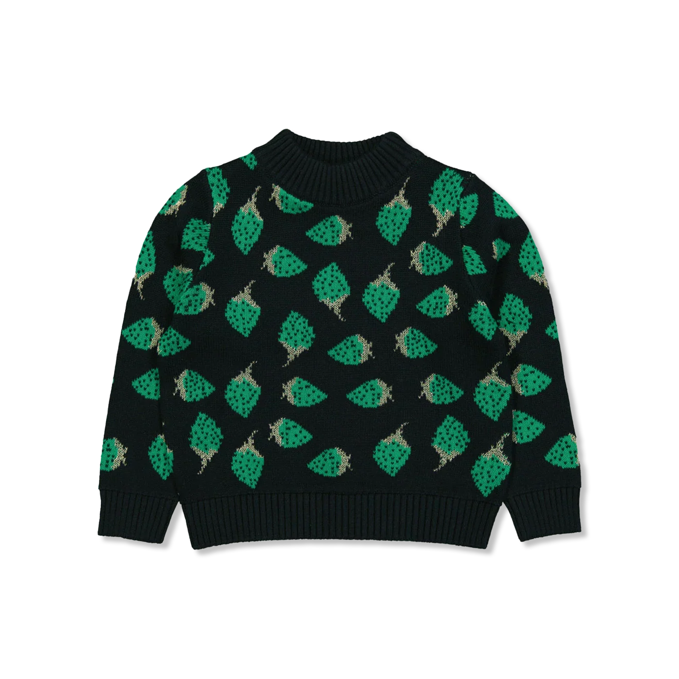 NKFSIBERRY langarmshirt