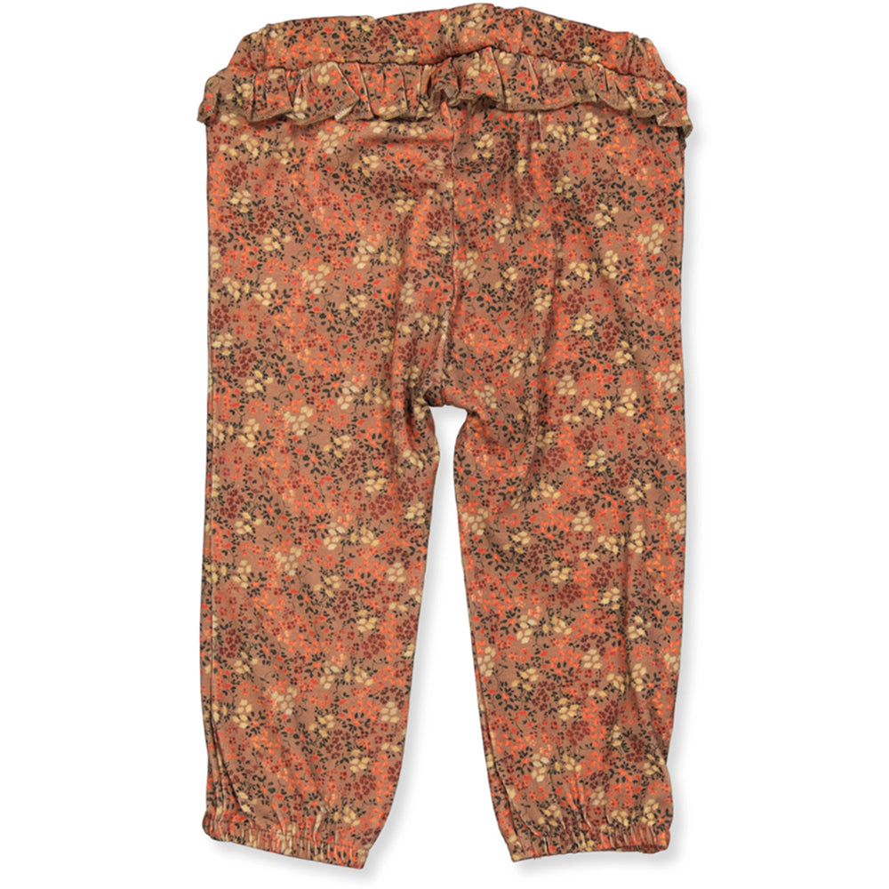 NBFSACHA hose