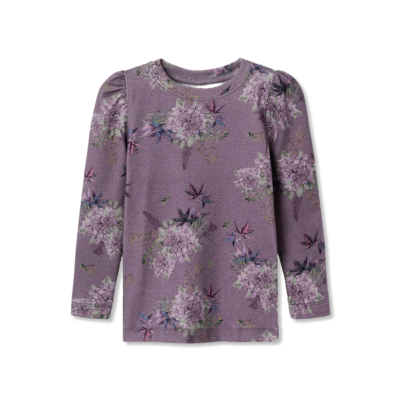 Nmfnnoras langarmshirt