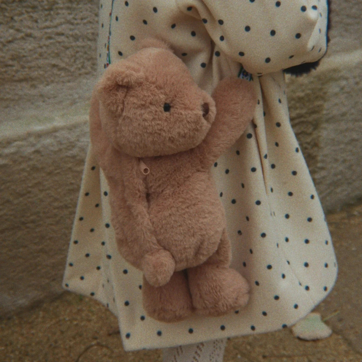 Teddy Tasche