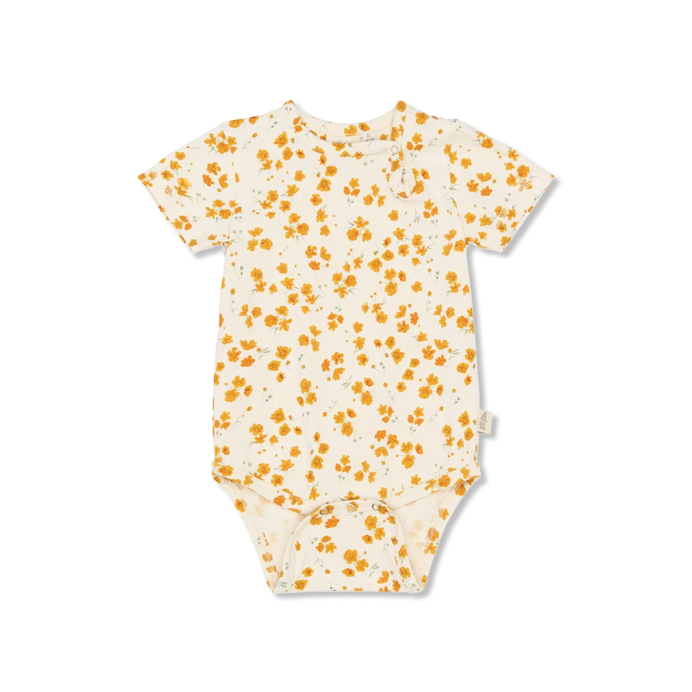 Sun Body