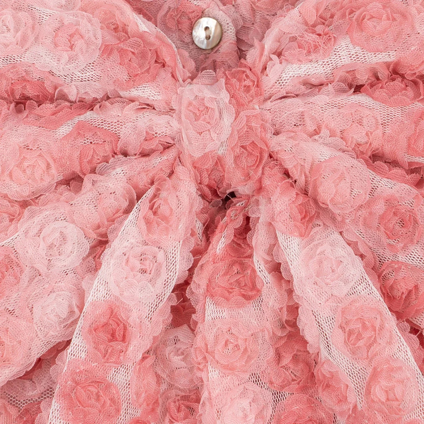 Ally Kleid