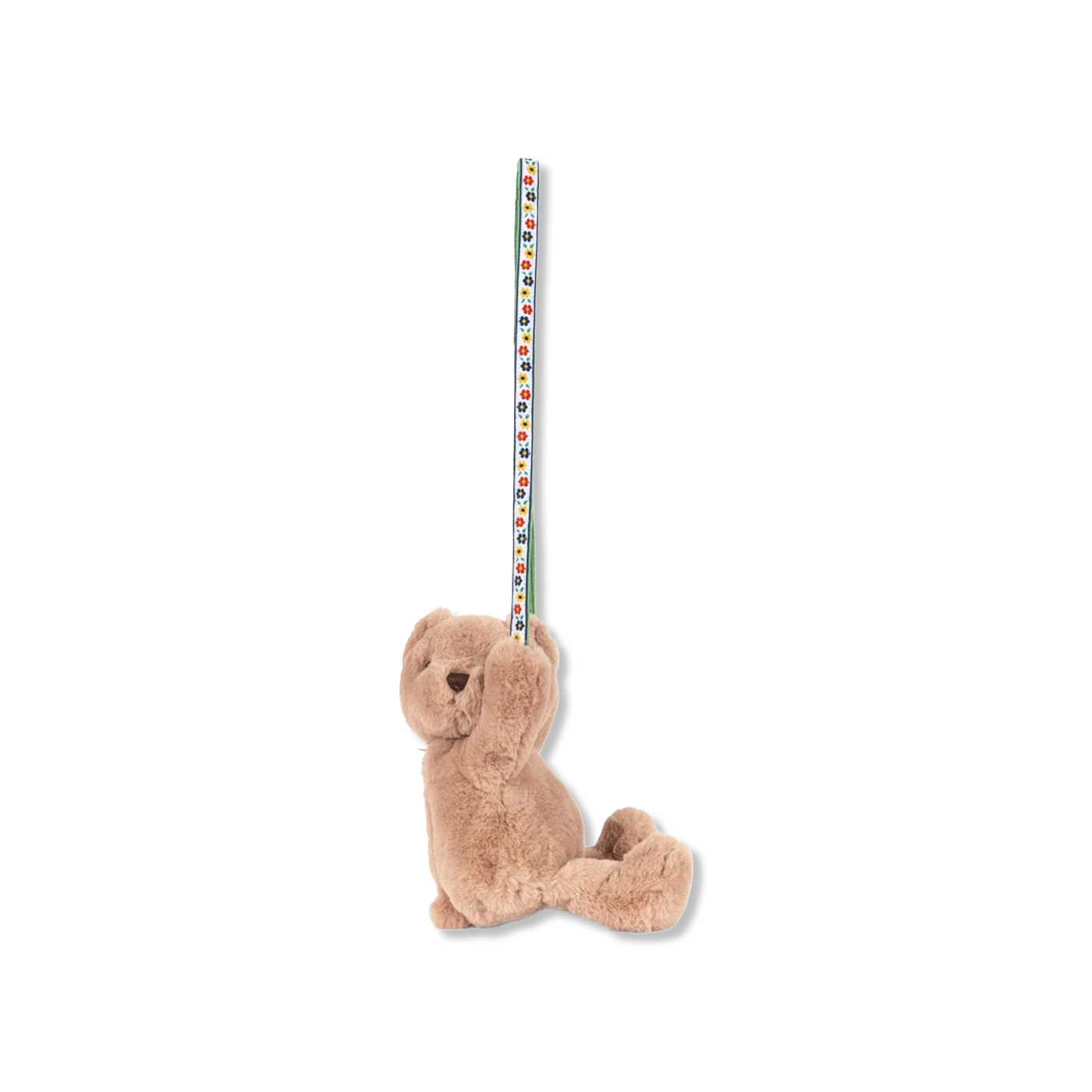 Teddy Tasche