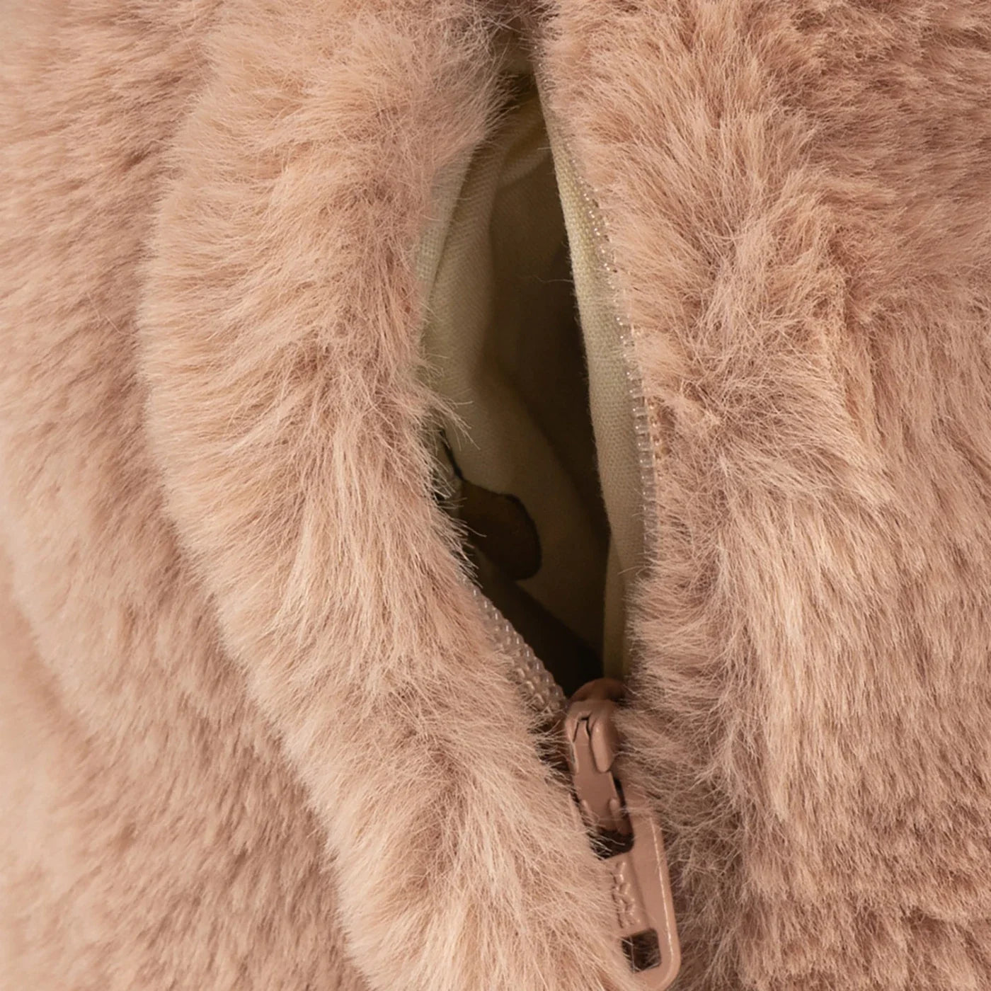 Teddy Tasche